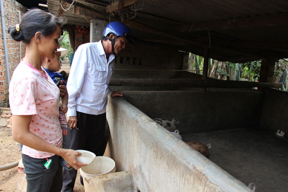 Cán bộ thú y xã Hòa An hướng dẫn người dân chăm sóc đàn heo trong vùng dịch.