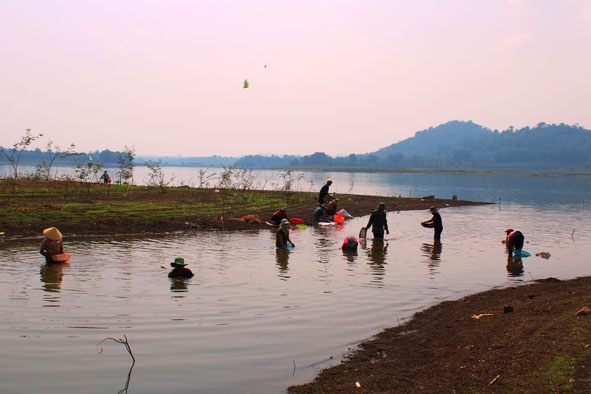 Người dân bắt hến trên hồ Ea Kao.