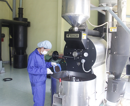 Chế biến cà phê xuất khẩu tại Công ty Cổ phần Đầu tư và Phát triển An Thái