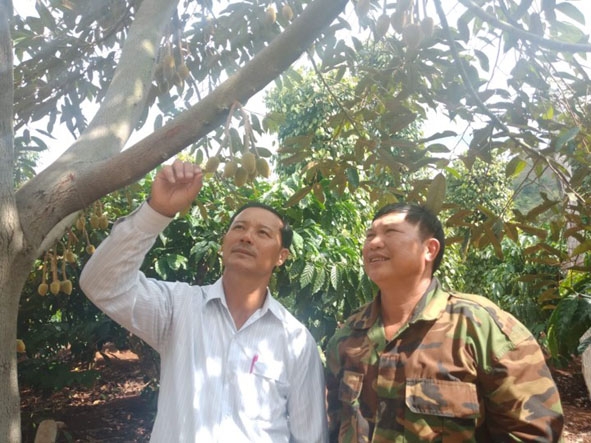 Cựu chiến binh Bùi Xuân Hương (bên phải) chia sẻ kinh nghiệm cho người dân  đến tham quan mô hình. 