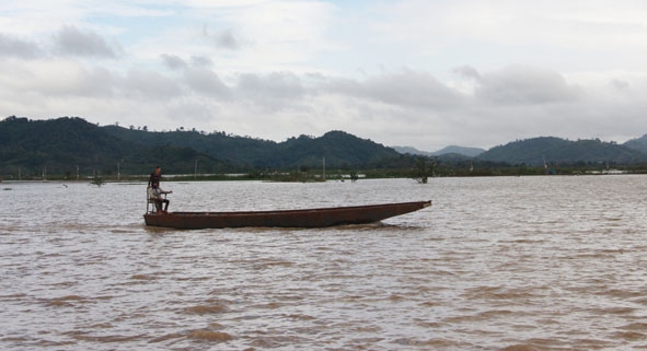 Nhiều cánh đồng lúa ở Lắk bị ngập sâu trong nước trong đợt lũ lụt đầu tháng 1-2019.   