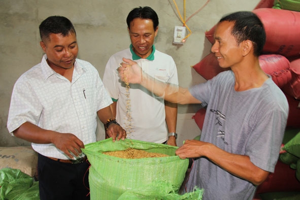 Ông Huyền (ở giữa) chia sẻ kinh nghiệm tích trữ lúa thu hoạch từ vụ đông xuân 2018-2019. 