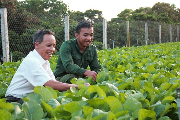 Bí thư Chi bộ thôn Ninh Thanh 1 Bùi Xuân Minh (bìa trái) trao đổi kinh nghiệm trồng rau với người dân trong thôn.