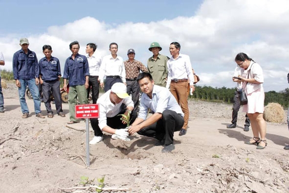 Anh Nguyễn Huy Quang (người ngồi bên phải) cùng công nhân trồng cây khi mới thành lập trang trại.