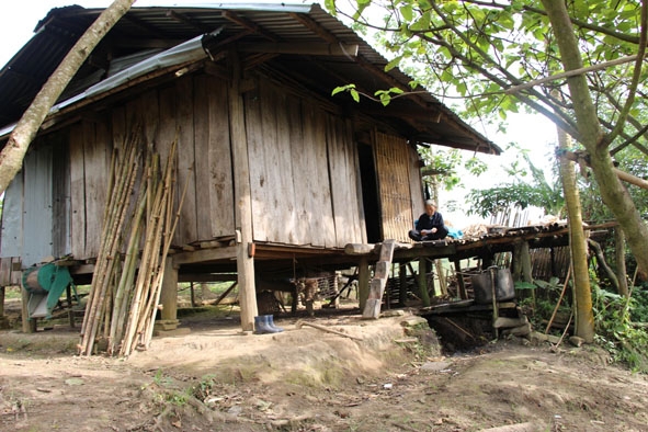 Nhà một hộ dân được dựng tạm bợ trên đỉnh đồi Đắk Hiu.