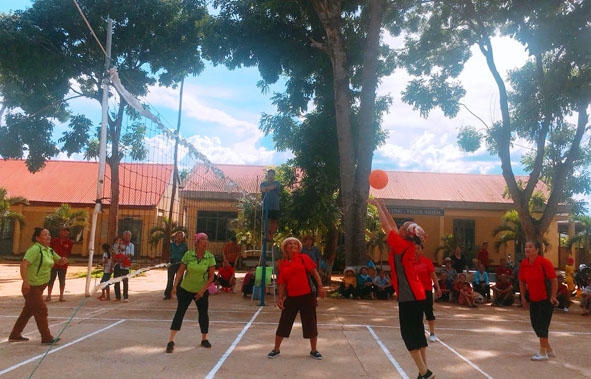 Môn bóng chuyền hơi  thu hút  đông đảo người cao tuổi  trên địa bàn xã Ea Tar  (huyện Cư M'gar) tham gia. 