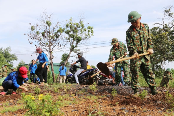 Bộ đội Tiểu đoàn 303 và thanh niên địa phương trồng hoa dọc tuyến đường giao thông vào trung tâm xã Hòa Xuân (TP. Buôn Ma Thuột). 