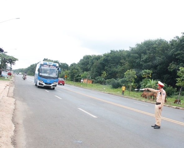 Lực lượng CSGT (Công an tỉnh) ra tín hiệu dừng phương tiện trên Quốc lộ 26. 