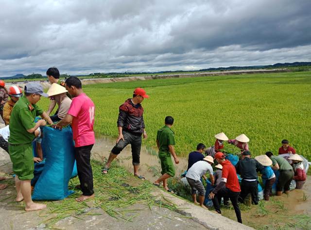 Lực lượng công an huyện Krông Ana giúp dân đắp đê bao và thu gom lúa. 