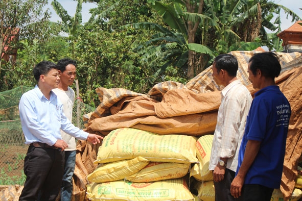 Cán bộ Hội Nông dân huyện Krông Búk hướng dẫn hội viên nông dân cách mua phân bón theo hình thức trả chậm. 