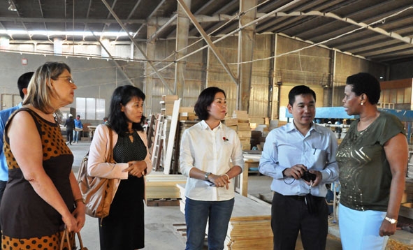 Đoàn công tác Đại sứ quán Nam Phi tại Việt Nam tham quan mô hình sản xuất chế biến gỗ của Công ty TNHH Tín Nghĩa Đắk Lắk. 