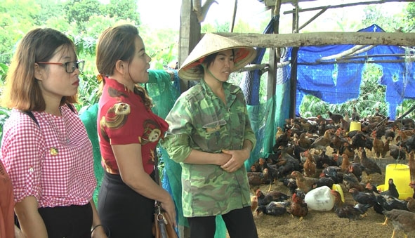 Cán bộ, hội viên phụ nữ xã Cư Yang (huyện Ea Kar) thăm mô hình chăn nuôi gà  của gia đình chị Lục Thị Thu (thôn 14).  
