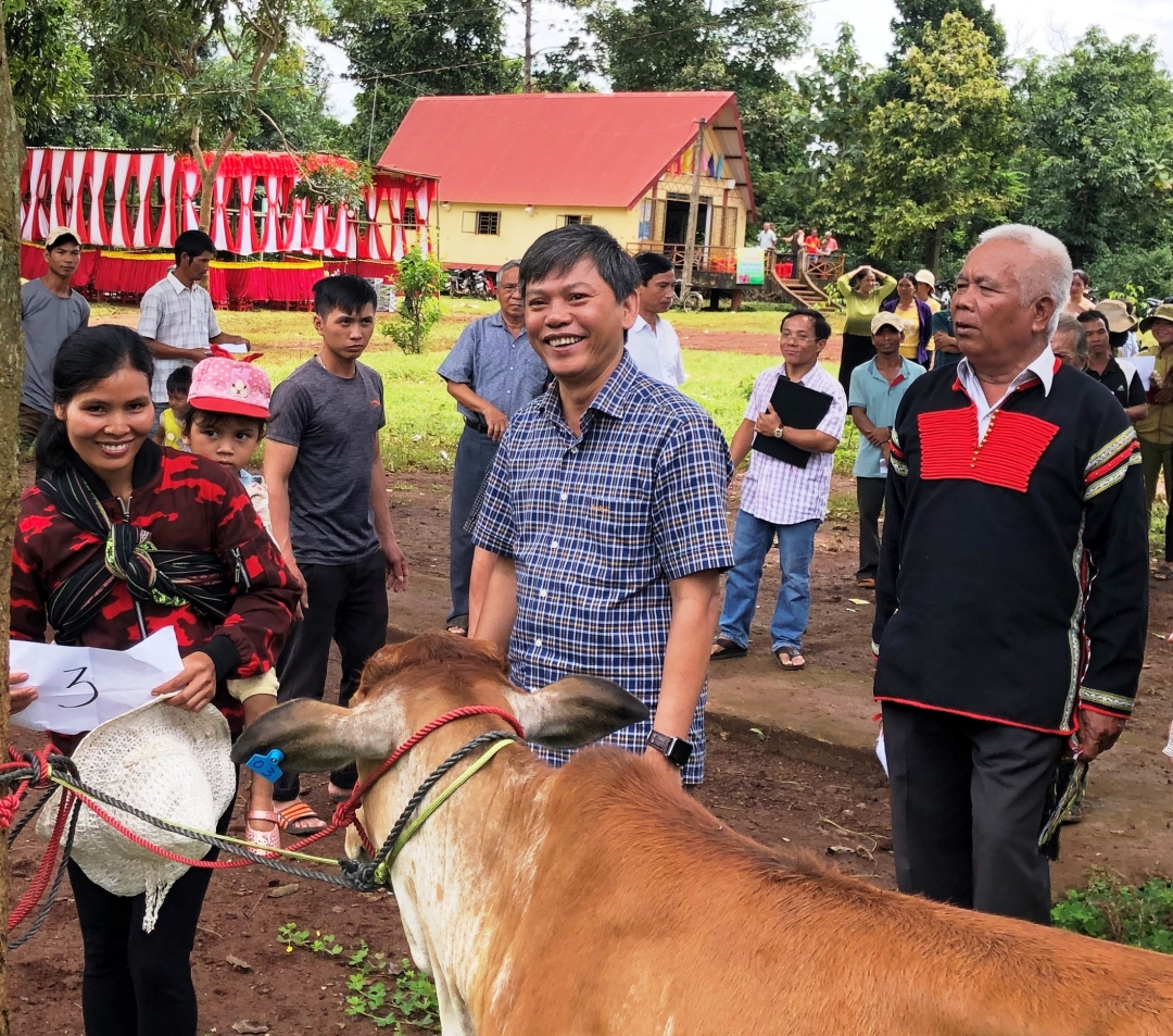 Đại diện Ban Tuyên giáo Tỉnh ủy trao bò giống sinh sản cho các gia đình khó khăn