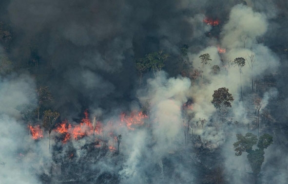 Khói lửa bốc lên từ đám cháy tại rừng Amazon ở Porto Velho, bang Rondonia, miền Tây Bắc Brazil, ngày 24-8-2019.  Ảnh: AFP/TTXVN
