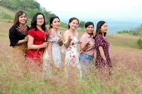 Đông đảo các bạn trẻ tìm đến chiêm ngưỡng và chụp ảnh ở đồi cỏ hồng M'Đrắk. 