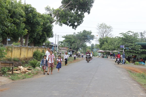 Đường giao thông nông thôn ở xã Ea M'droh. 