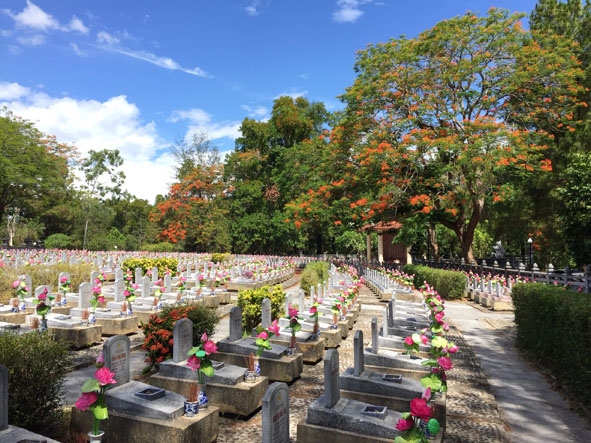 Phượng vĩ thắp lửa ở Nghĩa trang liệt sỹ Trường Sơn.