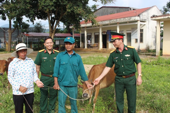 Cụm dân vận số 2 tặng bò giống cho các gia đình khó khăn ở xã Đắk Phơi, huyện Lắk.