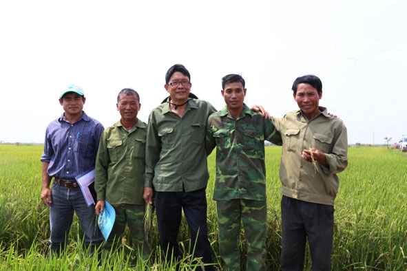 Ông Lã Như Kỹ (đứng giữa) cùng các xã viên HTX thăm cánh đồng lúa tím ở huyện Ea Súp.  