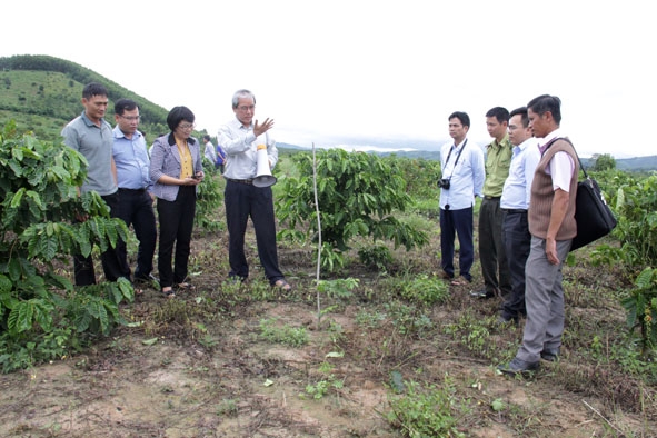 Cán bộ Trung tâm Nghiên cứu Lâm nghiệp nhiệt đới giới thiệu về mô hình trồng xen cây rừng bản địa tại huyện Krông Bông. 