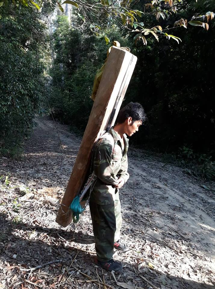 Một đối tượng vận chuyển gỗ trái phép trong lâm phần Công ty TNHH MTV Lâm nghiệp Krông Bông