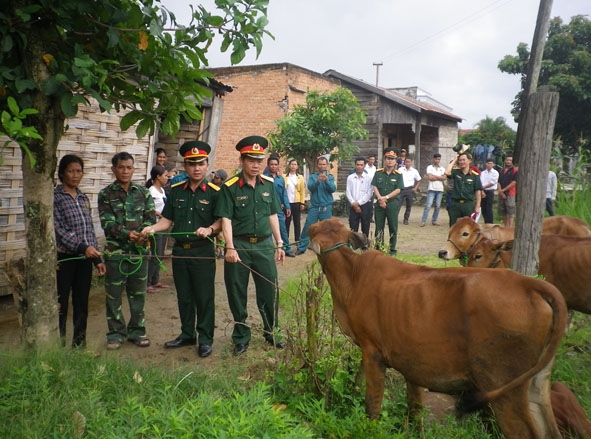 Bộ đội  hỗ trợ  bò giống cho người dân nghèo ở xã  Nam Ka, huyện Lắk.