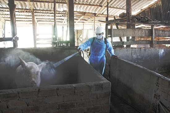 Phun hóa chất tiêu độc khử trùng hộ chăn nuôi tại thị trấn Ea Pốk