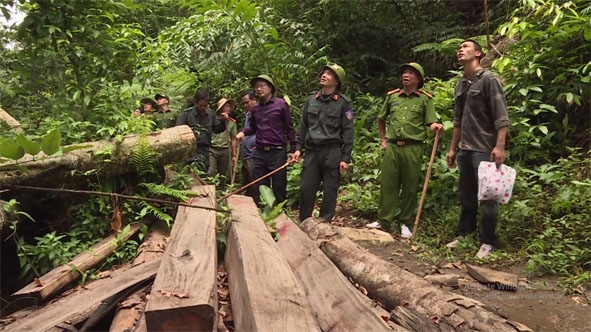 Lực lượng Công an tỉnh kiểm tra hiện trường vụ phá rừng ở huyện Ea Kar (Ảnh Công an cung cấp)