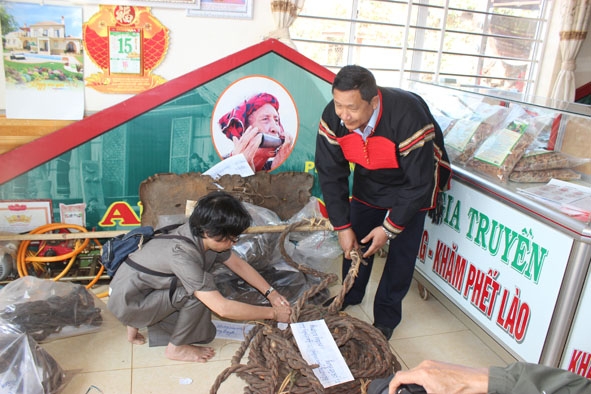 Ông Khăm Phết Lào giới thiệu bộ dụng cụ săn bắt, thuần dưỡng voi rừng của Ama Kông.