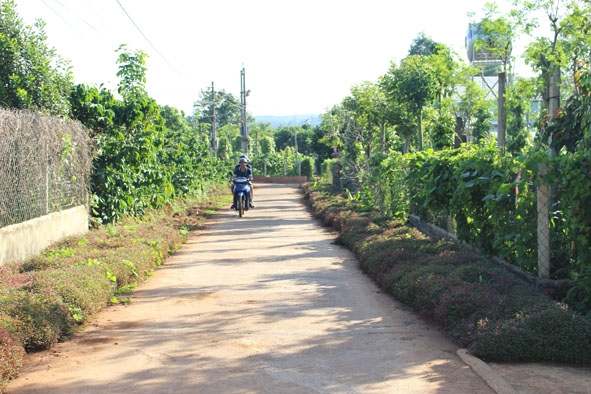 Đường giao thông thôn 9, xã Pơng Drang được bê tông hóa từ sự đóng góp của người dân. 