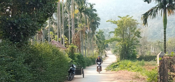 Những con đường liên thôn ở Hòa Sơn đã được làm xanh, sạch, đẹp. 