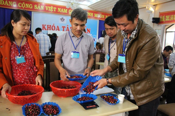 Học viên tham gia lớp tập huấn chế biến cà phê đặc sản được tổ chức đầu tháng 1-2020 tại Đắk Lắk. 