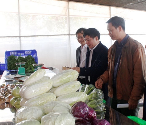 Đồng chí Bùi Văn Cường, Ủy viên Trung ương Đảng, Bí thư Tỉnh ủy (giữa) thăm khu chế biến rau củ quả  của Công ty Nhất Thống. 