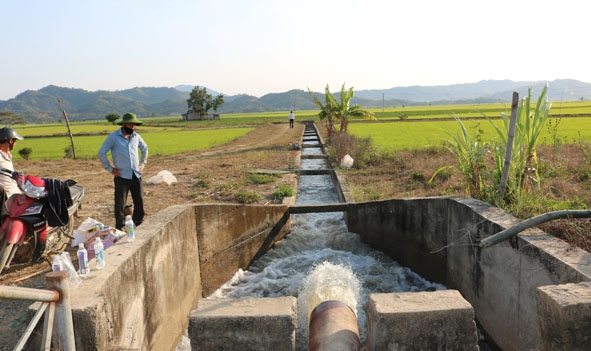 Trạm bơm ở xã Buôn Triết (huyện Lắk) bơm nước từ sông Krông Ana chống hạn cho diện tích lúa bị thiếu nước. 