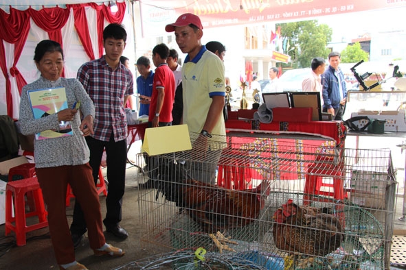 Người dân Ea Kar giới thiệu gà giống tại Hội chợ thương mại nông sản do địa phương tổ chức.   