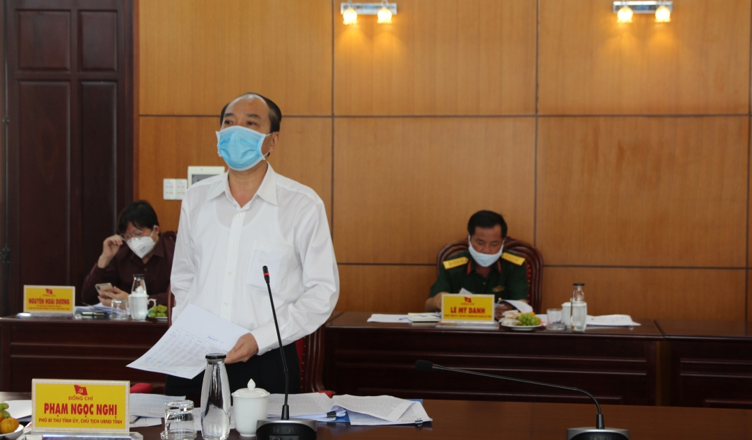 Phó Bí thư Tỉnh ủy, Chủ tịch UBND tỉnh Phạm Ngọc Nghị phát biểu tại hội nghị.