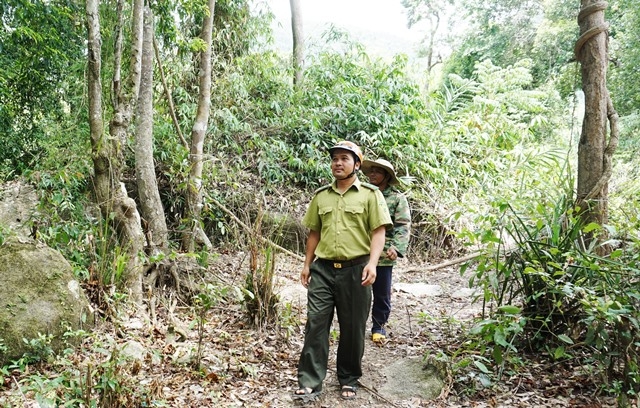 Lực lượng kiểm lâm cùng người dân tuần tra bảo vệ rừng.