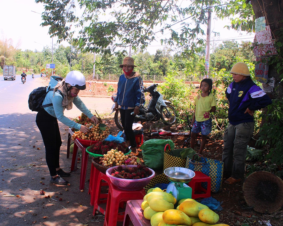 Khách đi đường ghé mua trái cây rừng tại buôn Sút M'grư (xã Cư Suê, huyện Cư M'gar).