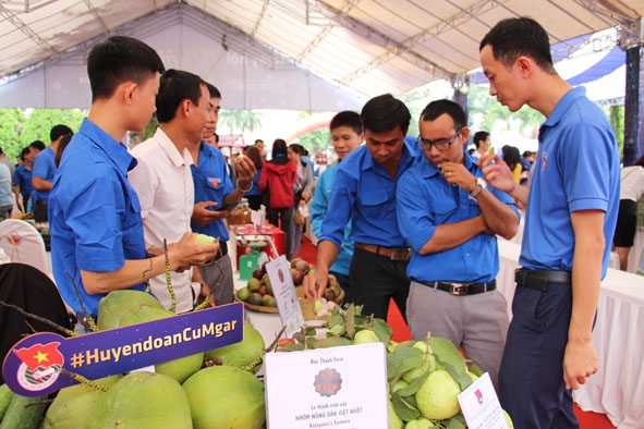 Các sản phẩm  khởi nghiệp  của thanh niên được trưng bày,  giới thiệu tại  Ngày hội khởi nghiệp tỉnh Đắk Lắk.  Ảnh: Vân Anh
