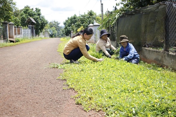 Phong trào chăm sóc đường hoa của phụ nữ xã Phú Xuân thu hút nhiều hội viên tham gia.