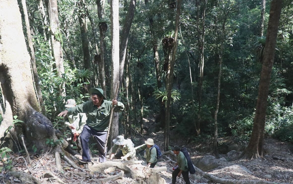 Lực lượng giữ rừng của Công ty TNHH MTV Lâm nghiệp Krông Bông tuần tra bảo vệ rừng. 