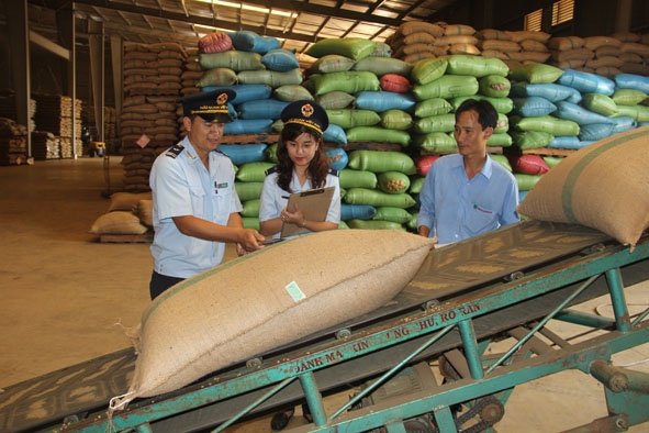 Cán bộ Cục Hải quan tỉnh Đắk Lắk kiểm tra hàng hóa thực tế tại một doanh nghiệp trên địa bàn.  Ảnh: Thanh Hường
