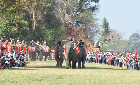 Lễ hội đua voi - một sản phẩm du lịch đặc thù chỉ có ở Đắk Lắk . 