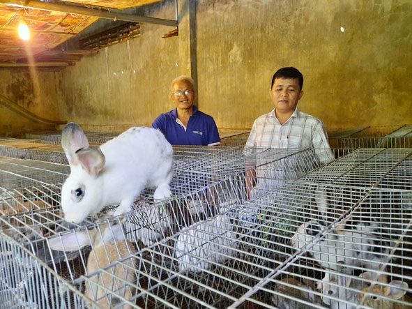 Mô hình nuôi thỏ thương phẩm của gia đình ông Bùi Văn Quốc.