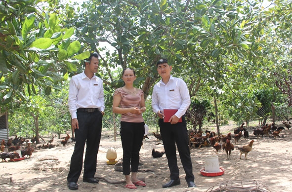  Chị Đàm Thị Kim Anh (thôn 4,  xã Cư Êwi) dẫn khách tham quan trang trại gà của  gia đình. 