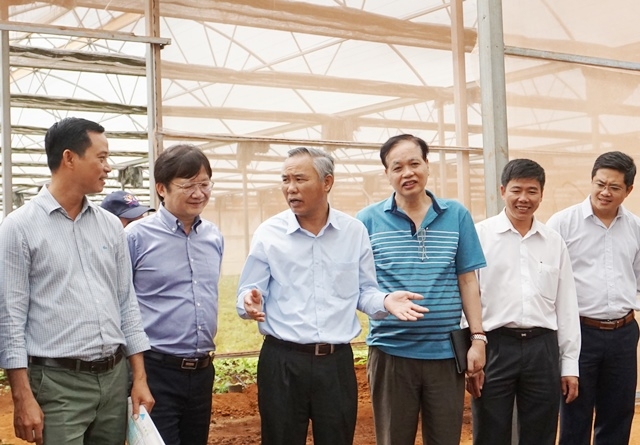 Thứ trưởng Bộ Nông nghiệp và Phát triển nông thôn Phùng Đức Tiến (thứ ba từ trái sang) thăm mô hình sản xuất nông nghiệp hữu cơ của Công ty TNHH Nông nghiệp Nhất Thống tại xã Cư Bao (thị xã Buôn Hồ). 