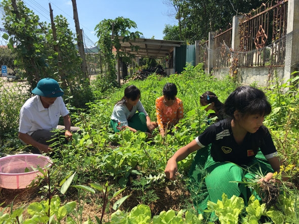 Các em học sinh bán trú tham gia cải tạo vườn rau tại trường.