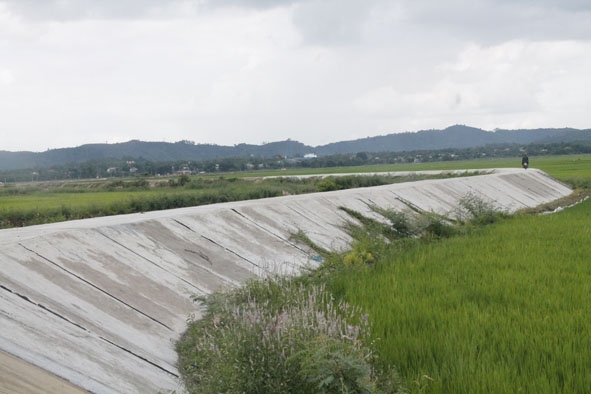 Các vị trí sạt lở của đê bao đoạn qua xã Quảng Điền (huyện Krông Ana) được khắc phục.