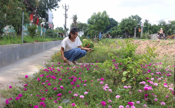 Công trình “Con đường hoa” của phụ nữ xã Ea Bung. 