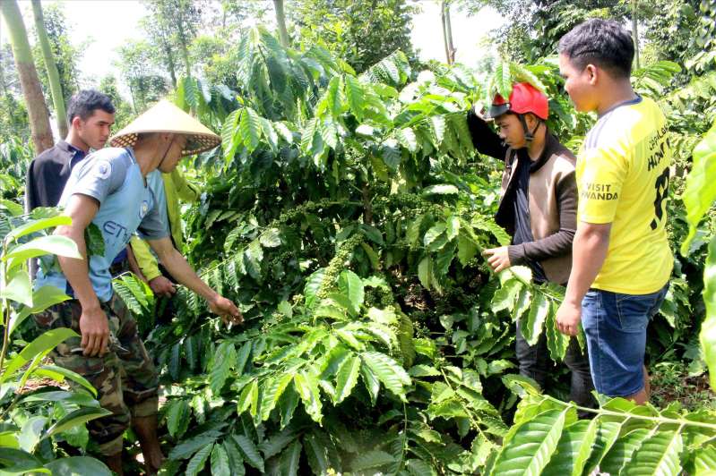 Người dân buôn Kô Tam (xã Ea Tu, TP. Buôn Ma Thuột) chia sẻ kinh nghiệm canh tác cây cà phê  trong quá trình đổi công. 